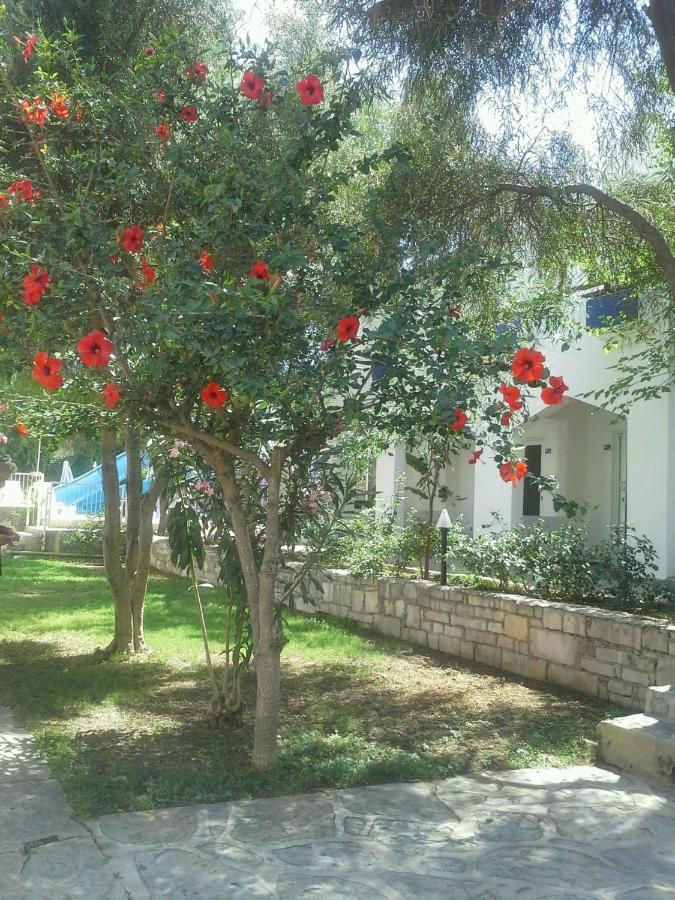 Tenda Hotel Bodrum Exterior foto